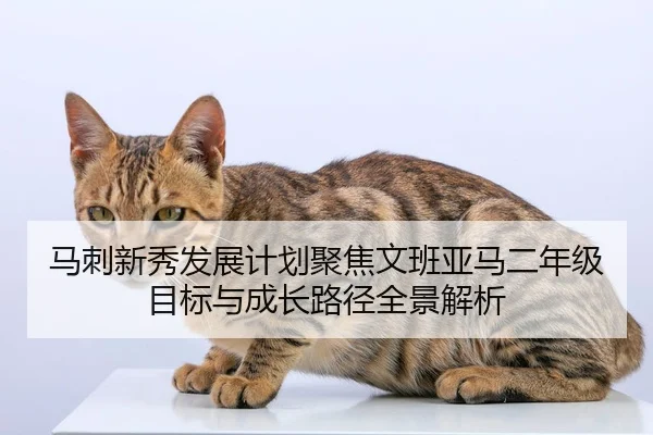 马刺新秀发展计划聚焦文班亚马二年级目标与成长路径全景解析