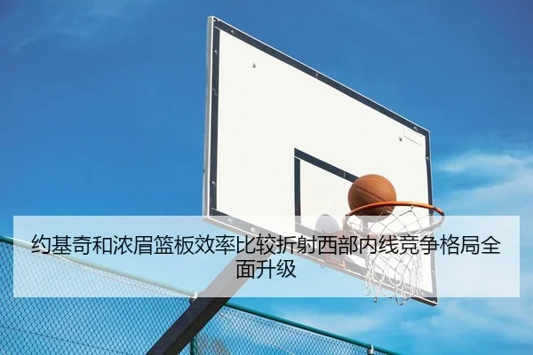 约基奇和浓眉篮板效率比较折射西部内线竞争格局全面升级